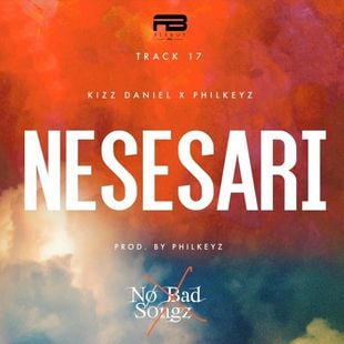 Cover Art For Nesesari Lyrics by Kizz Daniel Feat. Philkeyz