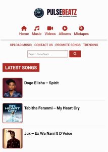 Pulsebeatz WordPress theme