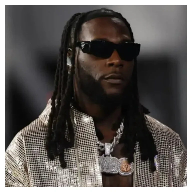 Cover Art For Burna Boy