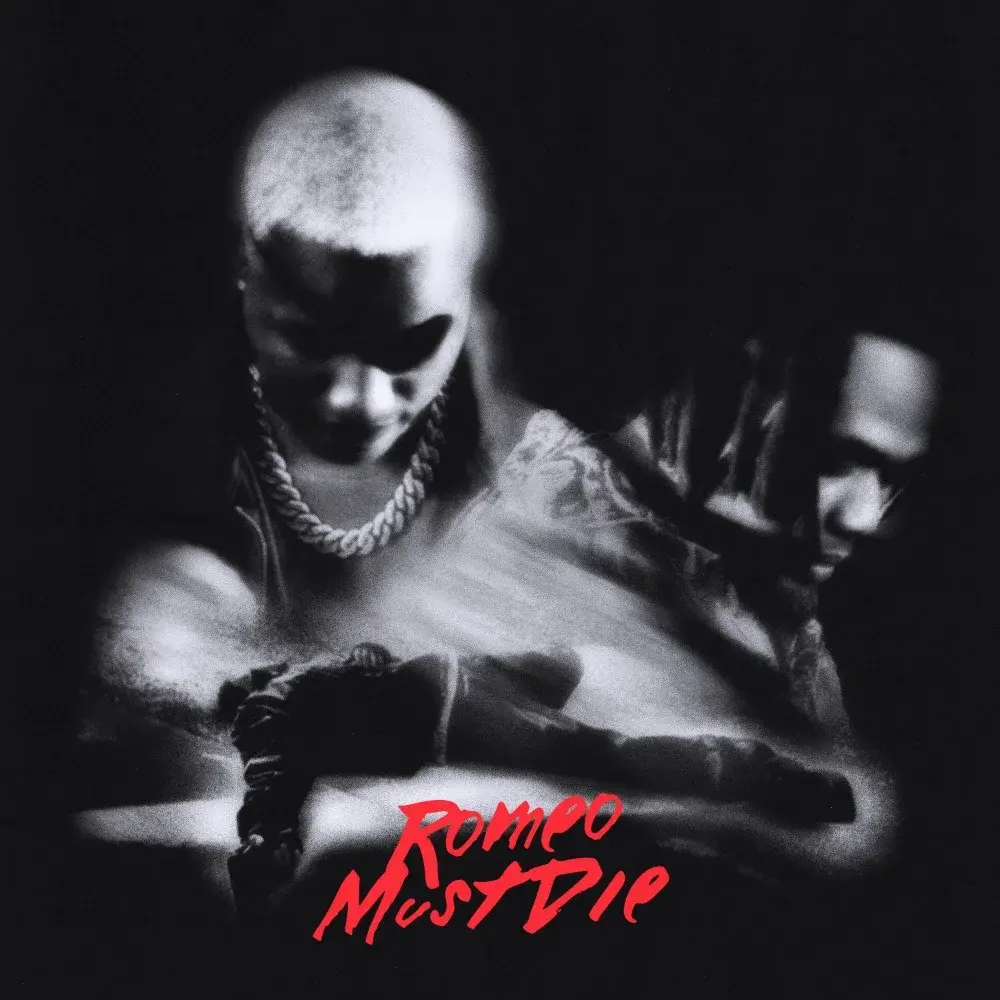 Romeo Must Die (RMD) Cover Art