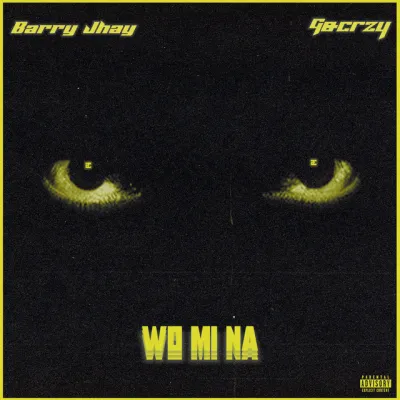 Cover Art For Anonymous Music – Wo Mi Na Ft. Barry Jhay & Gocrazy