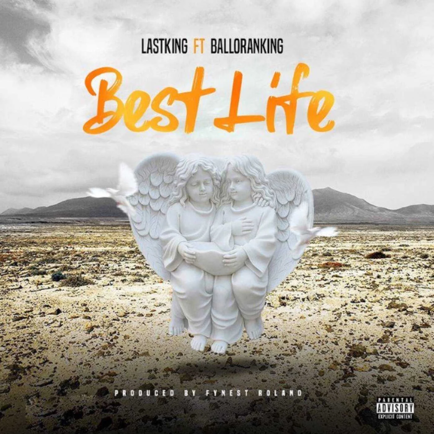 Life Cover Art