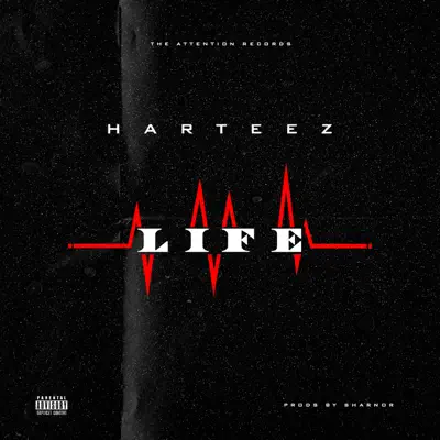 Life Cover Art