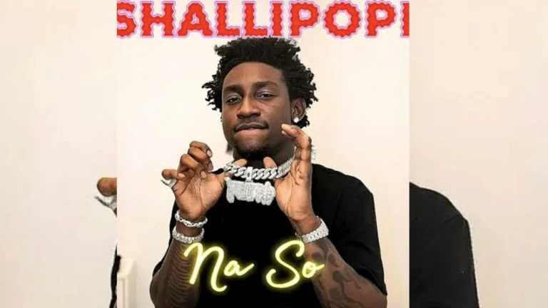 Cover Art For Shallipopi – Na So